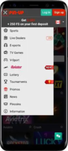 Pinup Casino mobile app, mobile view